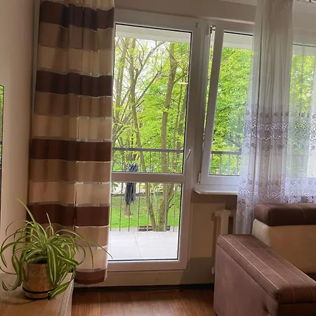 Gwiezdna * Sosnowiec